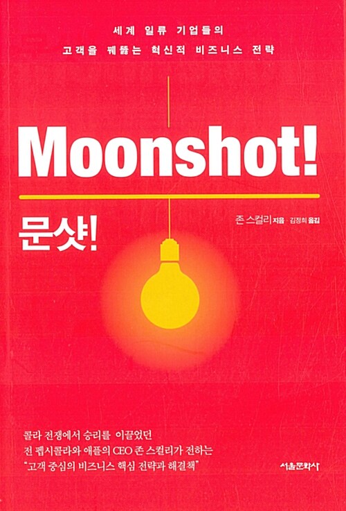 문샷! : 세계 일류 기업들의 고객을 꿰뚫는 혁신적 비즈니스 전략