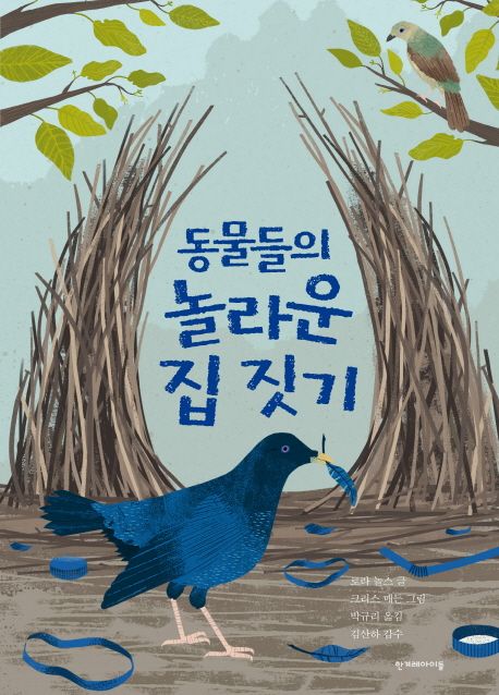 동물들의 놀라운 집 짓기