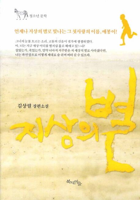 지상의 별 : 김상렬 장편소설
