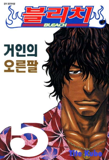 블리치 = Bleach. 5 : 거인의 오른팔