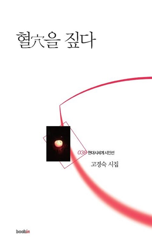혈을짚다:고경숙시집
