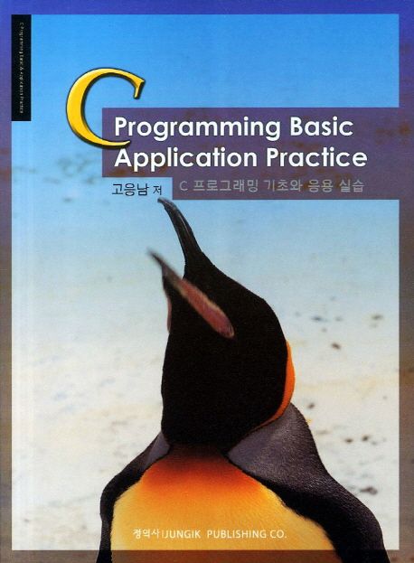 C 프로그래밍 기초와 응용 실습 = C programming basic application practice