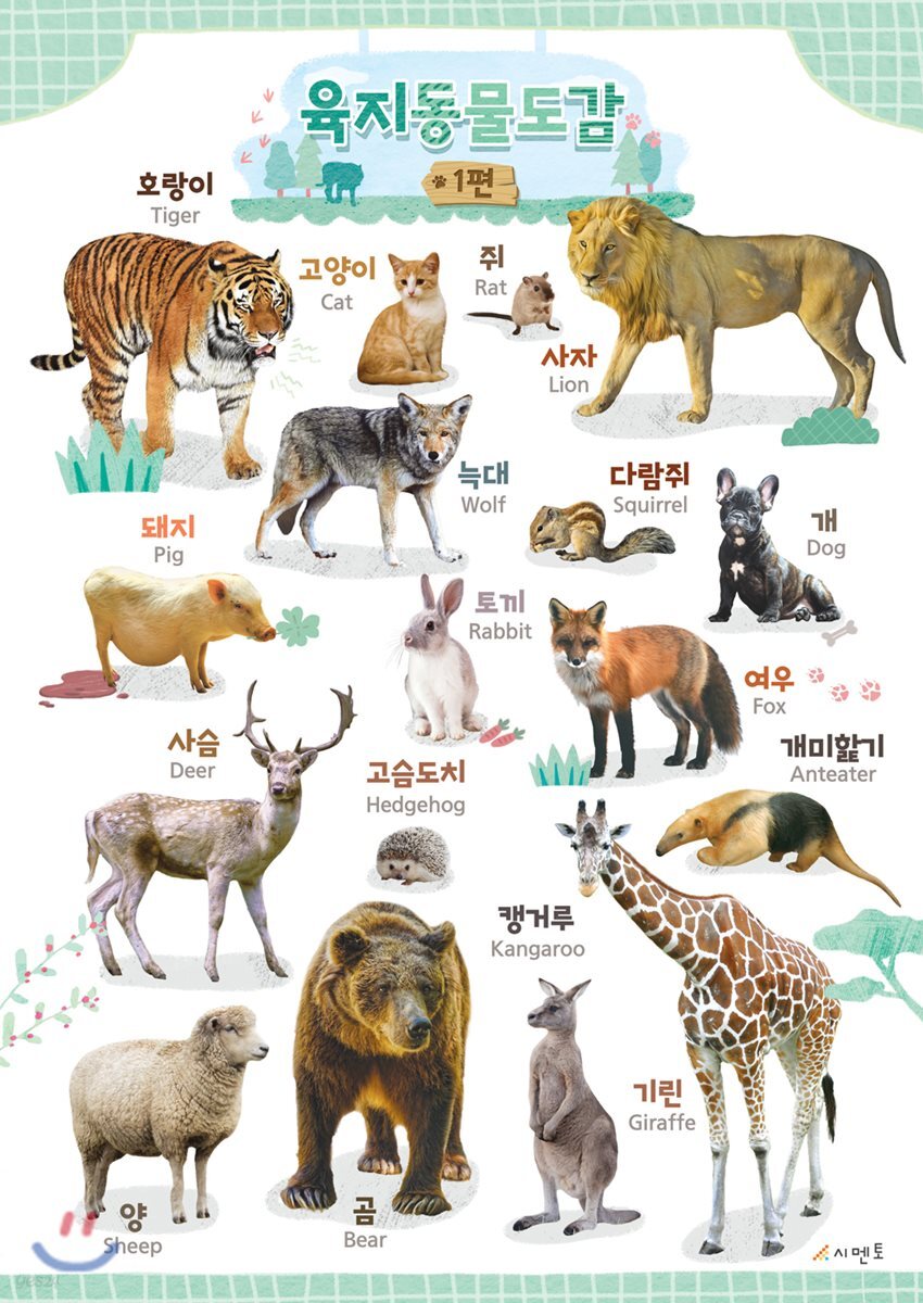 시멘토 학습벽보 학습앱 육지동물도감 1
