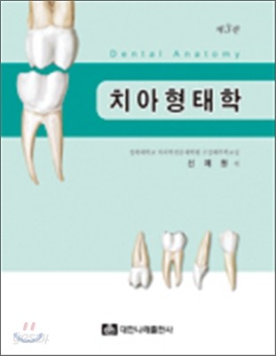치아형태학 (제3판)