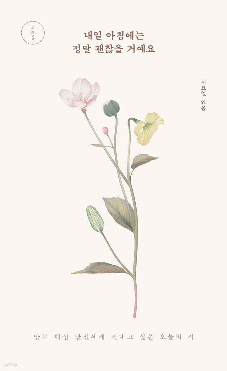 내일 아침에는 정말 괜찮을 거예요 표지