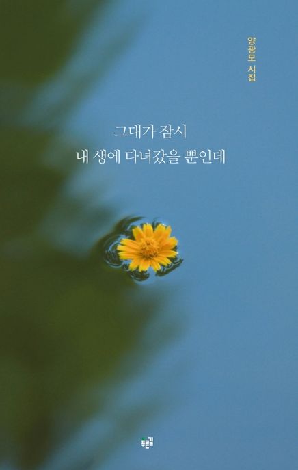 그대가 잠시 내 생에 다녀갔을 뿐인데 : 양광모 시집