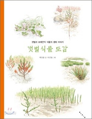 꽃이 피었어요, 바닷가에! : 바닷가 식물의 생태 이야기