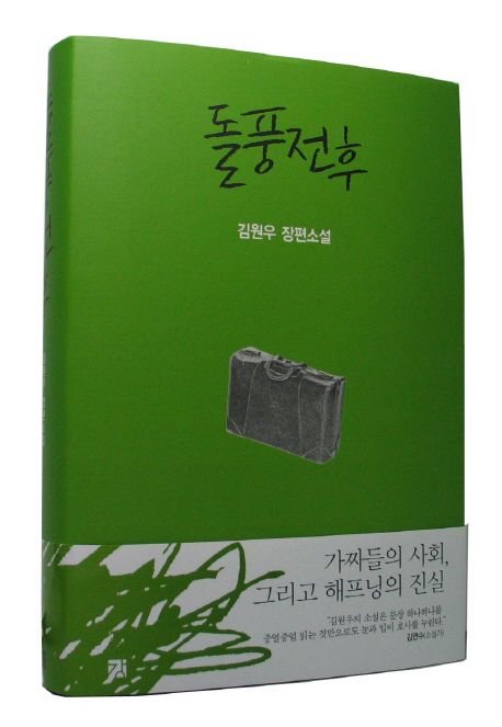 돌풍전후 : 김원우 장편소설 / 김원우 [저]