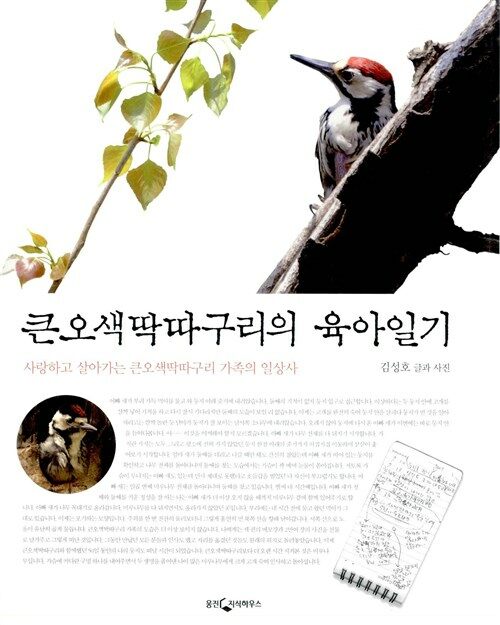 큰오색딱따구리의 육아일기 / 김성호 글과 사진