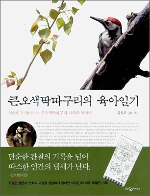 큰오색딱따구리의 육아일기: 사랑하고 살아가는 큰오색딱따구리 가족의 일상사 표지