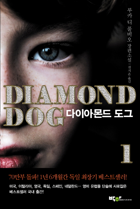 다이아몬드 도그 = Diamond dog : 루카 디 풀비오 장편소설. 1