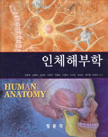 인체해부학
