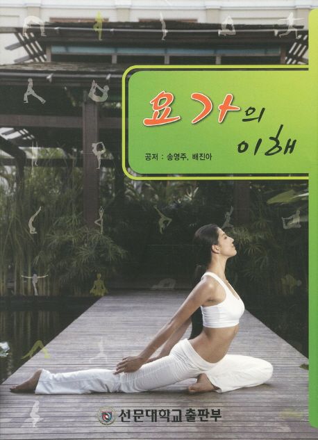 요가의 이해