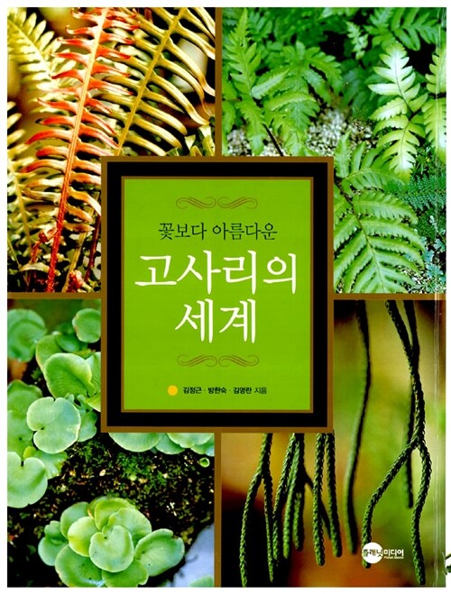 (꽃보다 아름다운)고사리의 세계