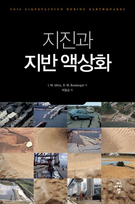 지진과 지반 액상화 = Soil liquefaction during earthquakes / I.M. Idriss ; R.W. Boulanger [...