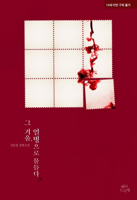 그 겨울, 열병으로 물들다  - [전자책]  : 강은솔 장편소설