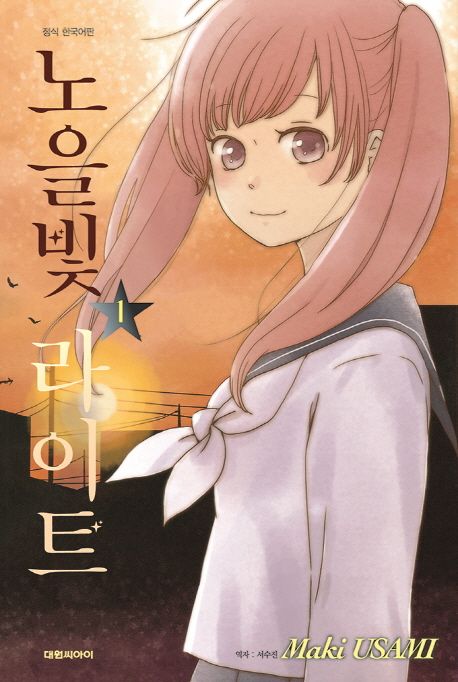 노을빛 라이트. 1
