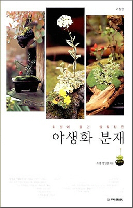 야생화 분재 (화분에 들인 들꽃정원)