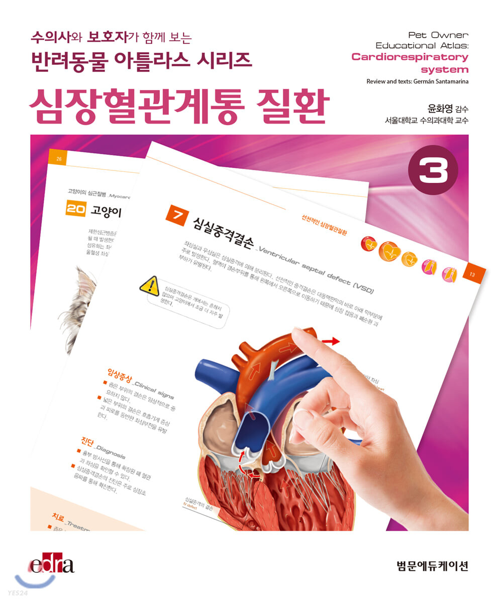 심장혈관계통 질환