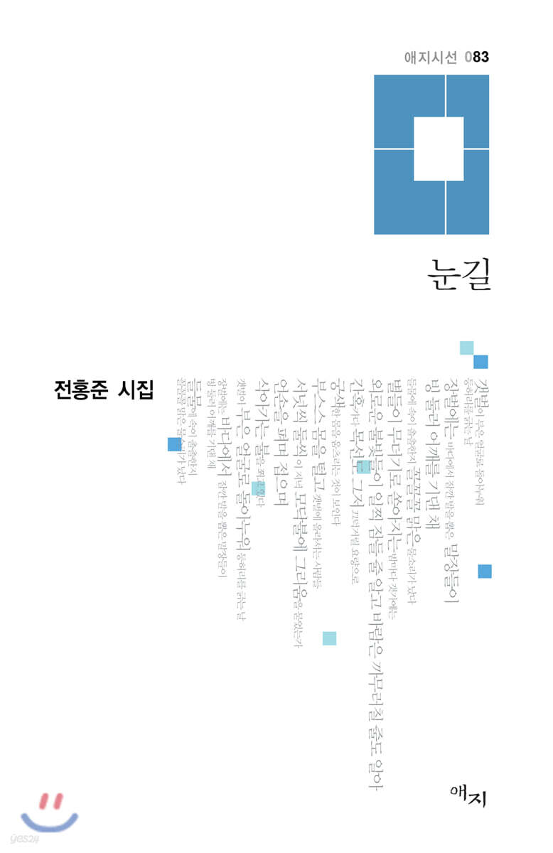 눈길 (전홍준 시집)