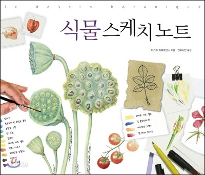 식물 스케치 노트 / 아가트 아베르만스 지음 ; 권루시안 옮김