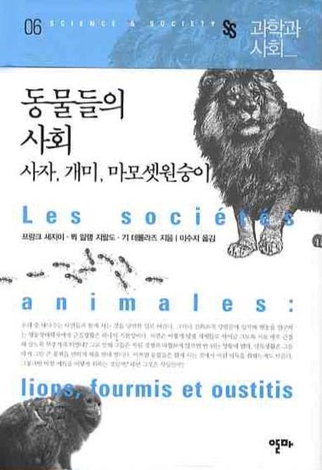 동물들의 사회 : 사자, 개미, 마모셋원숭이