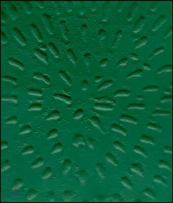 9780847867509