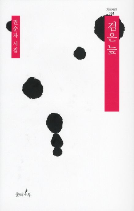 검은 늪 / 권순자 지음