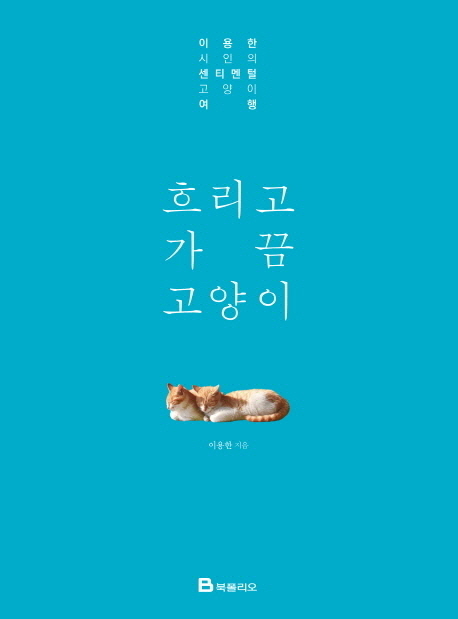 흐리고 가끔 고양이