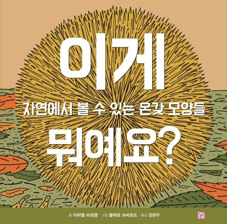 이게 뭐예요?;자연에서 볼 수 있는 온갖 모양들