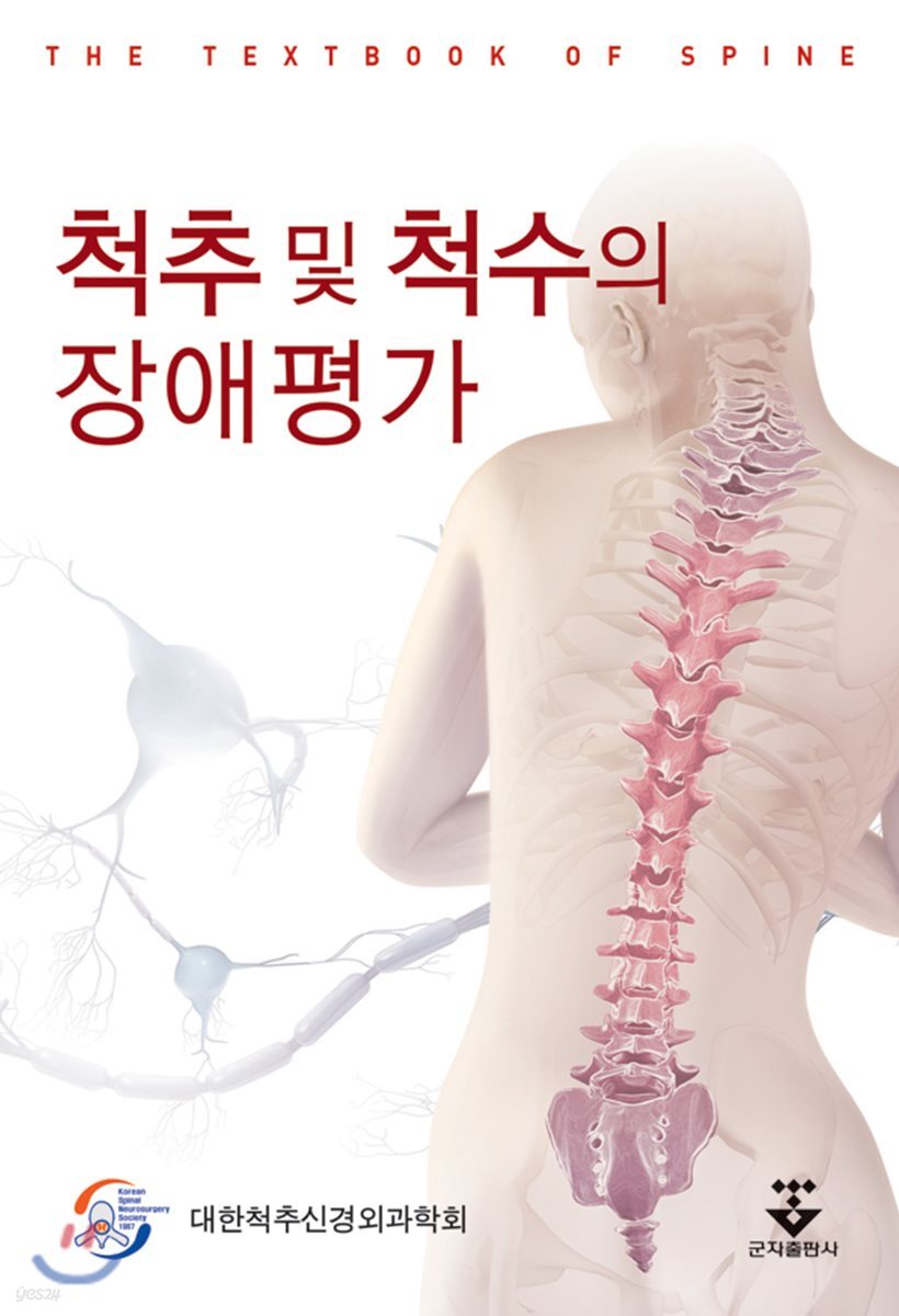 척추 및 척수의 장애평가