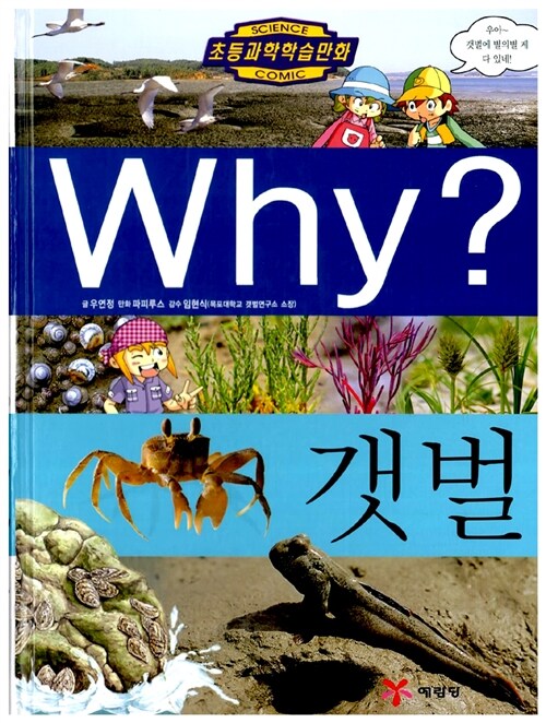 (Why?) 갯벌