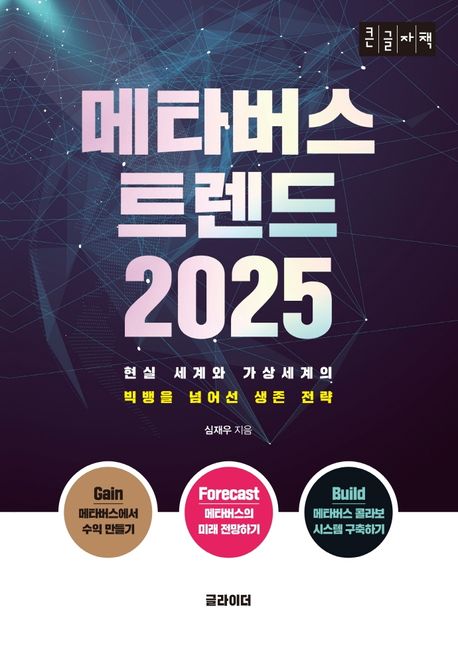 메타버스 트렌드 2025 : 큰글자책
