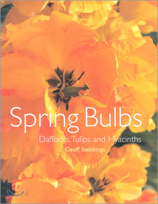 Spring bulbs  : daffodils, tulips and hyacinths