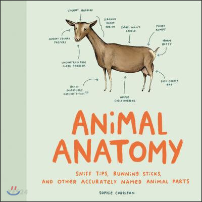 Animal Anatomy (Sniff Tips, Running Sticks, and Other Accurately Named Animal Parts)
