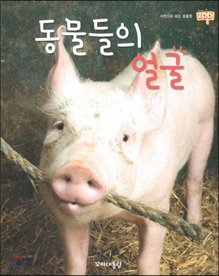 동물들의 얼굴