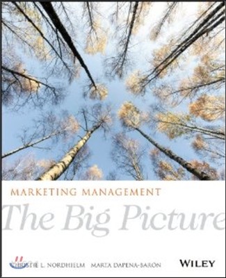 Marketing Management: The Big Picture (The Big Picture)