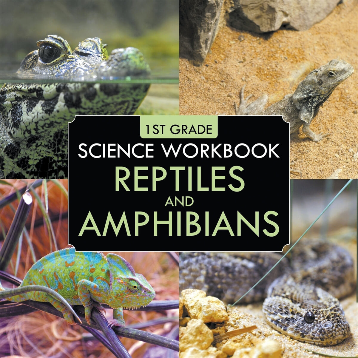 1st Grade Science Workbook (Reptiles and Amphibians)