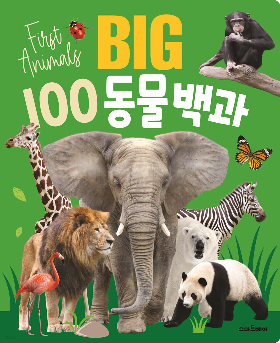 Big 100 동물백과