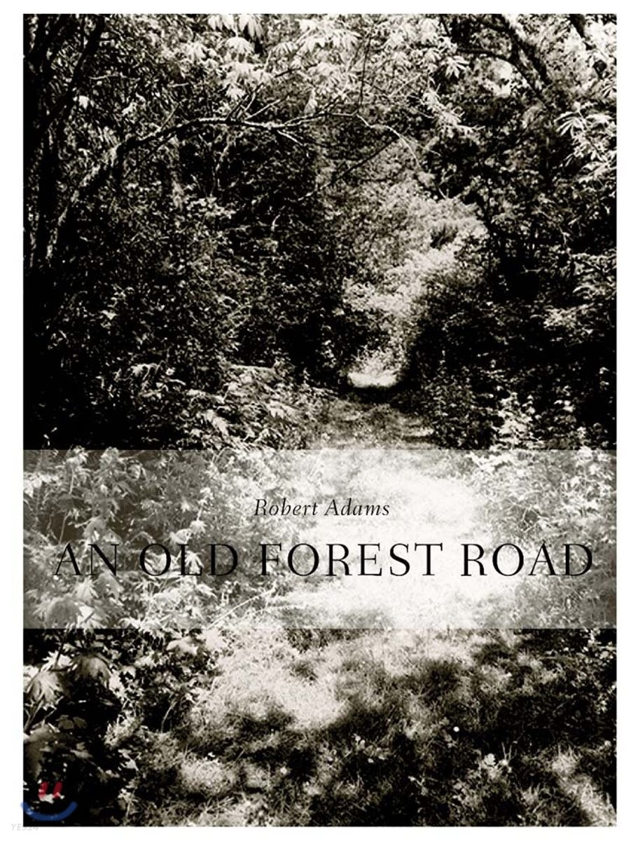 Robert Adams (An Old Forest Road)