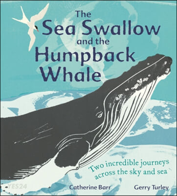 (The) Sea Swallow and the Humpback Whale