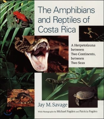 The Amphibians and Reptiles of Costa Rica: A Herpetofauna Between Two Continents, Between Two Seas (A Herpetofauna Between Two Continents, Between Two Seas)