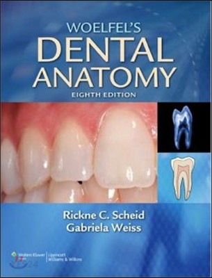 Woelfel’s Dental Anatomy (Its Relevance to Dentistry)