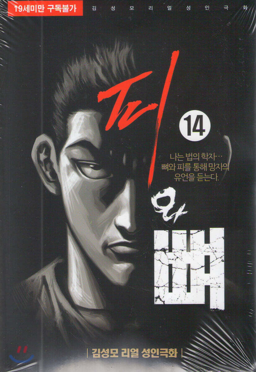 피와 뼈 14 (김성모 리얼 성인극화)