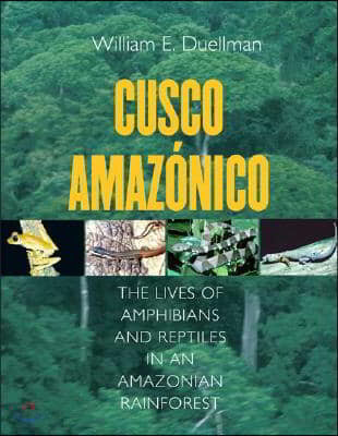 Cusco Amazonico (The Lives Of Amphibians And Reptiles In An Amazonian Rainforest)