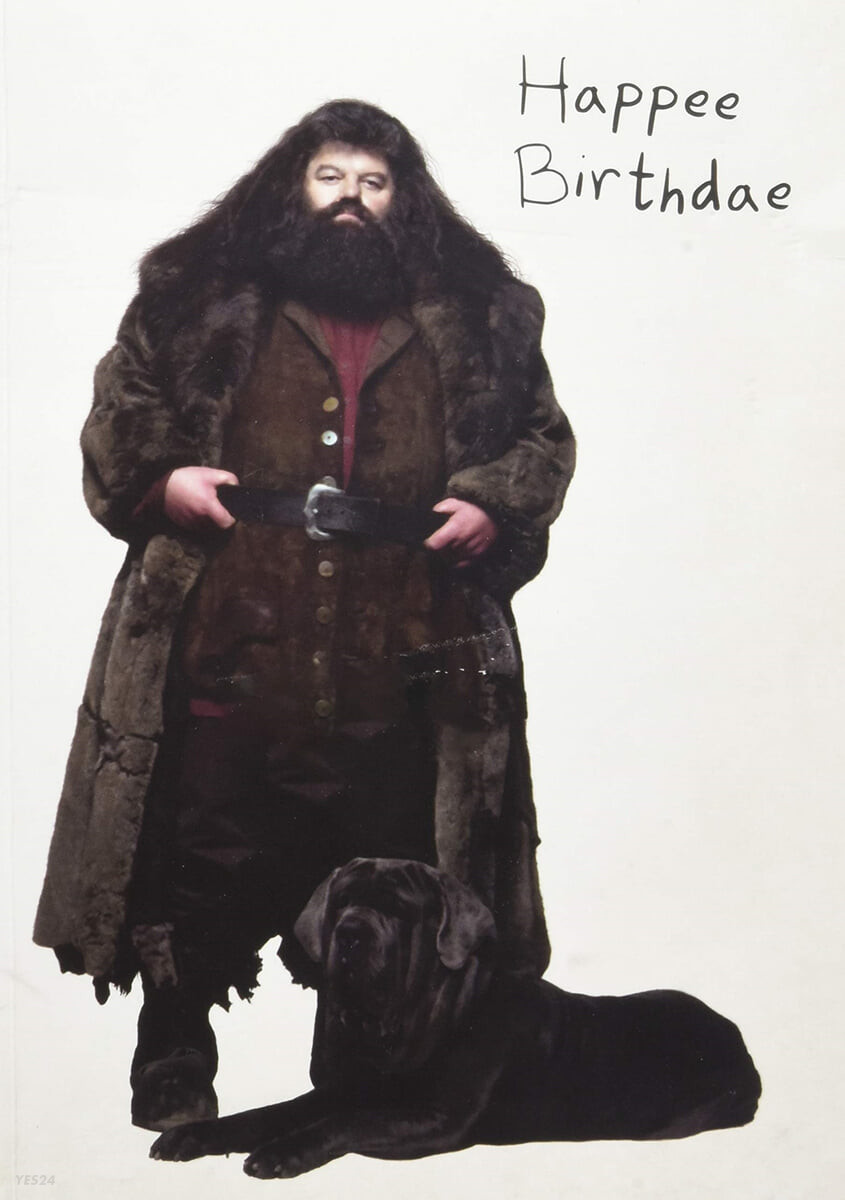 Harry Potter: Hagrid’s Cake Pop-Up Card