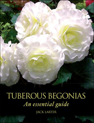 Tuberous Begonias : An Essential Guide