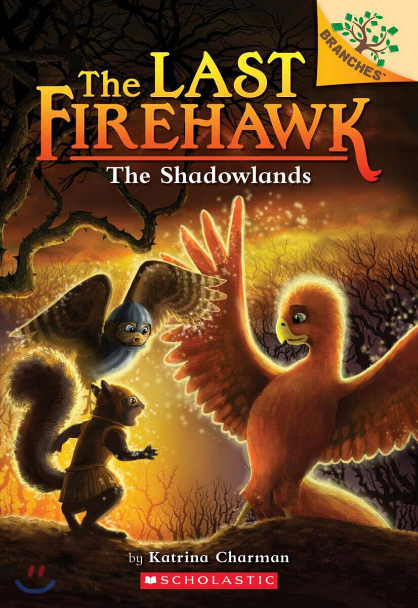 (The)Last Firehawk. 5, (The)Shadowlands 표지
