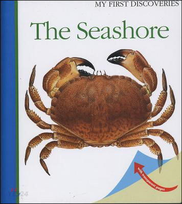 (The)seashore
