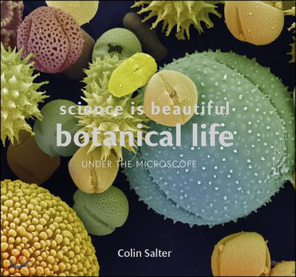 Science Is Beautiful : Botanical Life : Under the Microscope Under the Microscope